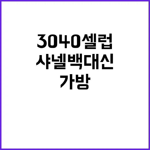 3040 셀럽들이 샤넬백 대신 들기 시작한 가방, 손끝까지 맞춰보니 진짜 달랐다 - 요약