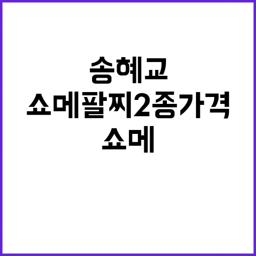송혜교 쇼메 팔찌 2종 가격 직접 찾아봤더니, 손끝까지 같이 보이더라 - 요약