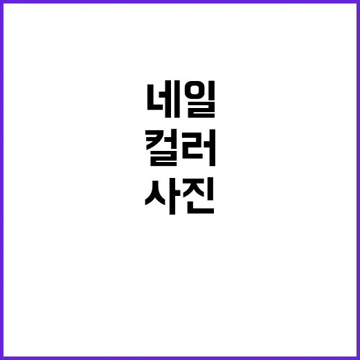 손님이 홀란드 사진을 들고 와서 네일 컬러로 풀어본 날 - 요약