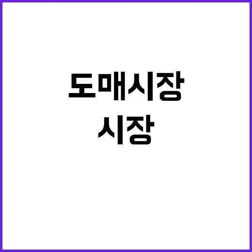 네일숍 재료 사러 화장품도매 시장까지 다녀와봤더니 - 요약
