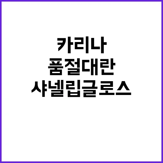 카리나 샤넬 립글로스 442 품절대란, 손님들 파우치에서 직접 본 진짜 이야기 - 요약
