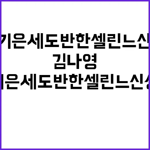 김나영 기은세도 반한 셀린느 신상 가방, 손끝까지 맞춰보니 보이는 것들 - 요약