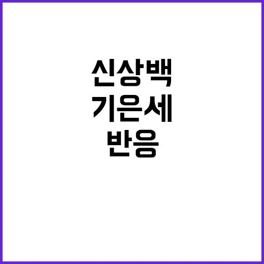 기은세 셀린느 신상백 룩을 손님들과 같이 봤더니 나온 진짜 반응 - 요약
