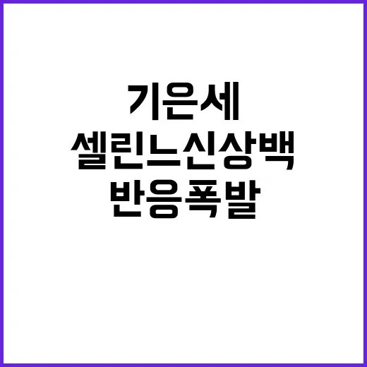 기은세 셀린느 신상백 반응 폭발, 손끝까지 따라 해봤더니 보인 것들 - 요약