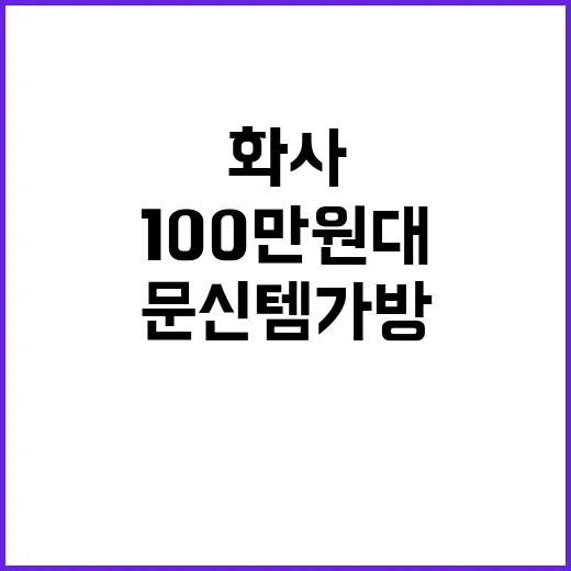 화사 문신템 가방 느낌 따라 골라봤더니, 100만원대와 저렴이 차이가 손끝에서 보였다 - 요약