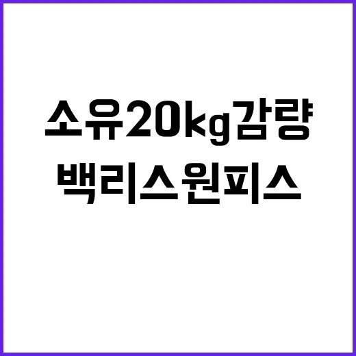 소유 20kg 감량 후 백리스 원피스가 더 선명해 보였던 진짜 이유 - 요약