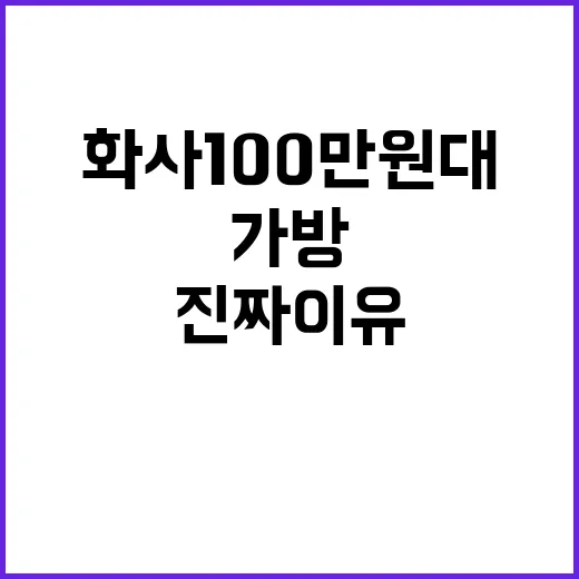 화사 100만 원대 명품 가방, 손끝까지 같이 보이던 진짜 이유 - 요약