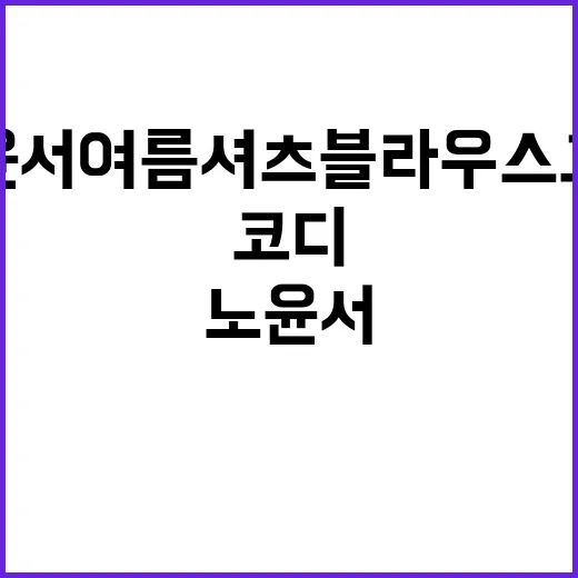 손님들이 가져온 노윤서 여름 셔츠 블라우스 코디, 네일리스트 눈으로 맞춰봤더니 - 요약