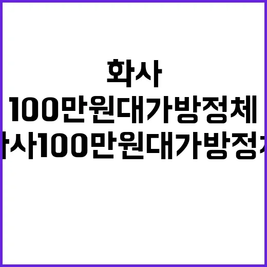 화사 100만 원대 가방 정체 찾아보다가 손끝 컬러까지 바꿔본 후기 - 요약
