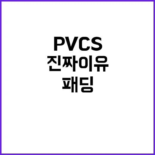 pvcs 패딩 입는 계절, 손끝이 먼저 상하던 진짜 이유 - 요약