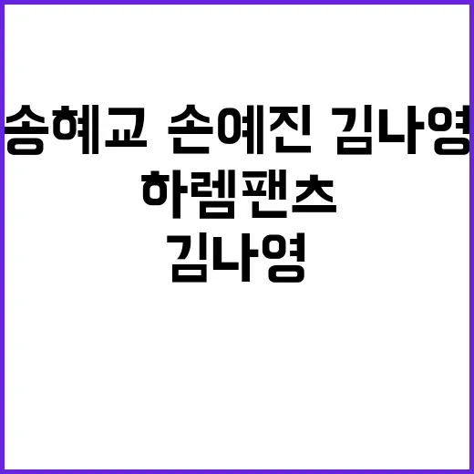 하렘팬츠를 송혜교·손예진·김나영 무드로 맞춰봤더니 손끝까지 달라 보였다 - 요약