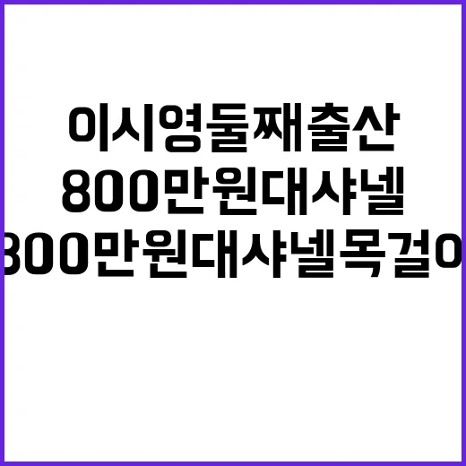 이시영 둘째 출산 소식에 800만원대 샤넬 목걸이까지, 손끝은 어떻게 맞추면 예쁠까 - 요약