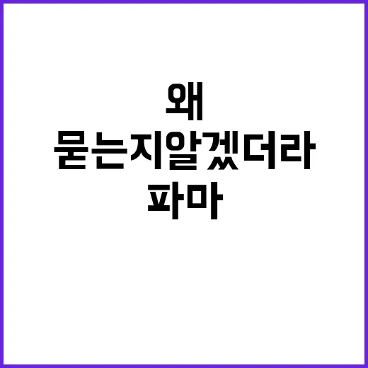 김혜수 90년대 파마 사진을 다시 봤더니, 왜 아직도 손님들이 묻는지 알겠더라 - 요약