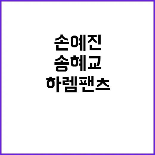 송혜교처럼 담백하게, 손예진처럼 우아하게… 김나영 하렘팬츠 코디를 손끝까지 맞춰본 이야기 - 요약