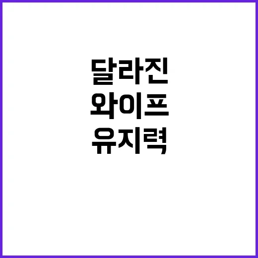 샵에서 메시 와이프를 바꿔봤더니 유지력이 달라진 진짜 이야기 - 요약