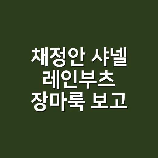 채정안 샤넬 레인부츠 장마룩 보고 손끝 컬러까지 맞춰본 8년차 네일리스트의 이야기 - 요약