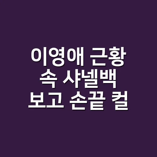 이영애 근황 속 샤넬백 보고 손끝 컬러까지 맞춰본 8년차 네일리스트의 이야기 - 요약