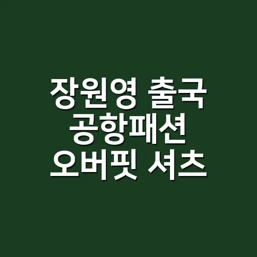 장원영 출국 공항패션 오버핏 셔츠 정보 찾아보다가 핏의 비밀까지 보였던 이야기 - 요약