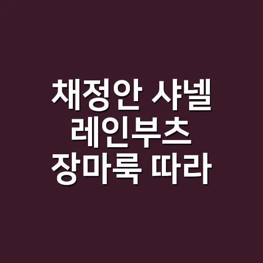 채정안 샤넬 레인부츠 장마룩 따라 입어봤더니 손끝까지 달라 보였다 - 요약