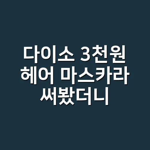 다이소 3천원 헤어 마스카라 써봤더니, 떡진 머리가 약속 10분 전에 살아난 이야기 - 요약