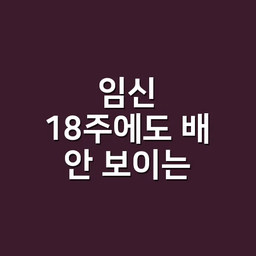 임신 18주에도 배 안 보이는 원피스, 손님들과 얘기하다 떠올린 진짜 포인트 - 요약