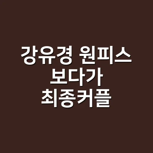 강유경 원피스 보다가 최종커플 스포까지 확인한 밤 - 요약