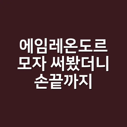 에임레온도르 모자 써봤더니 손끝까지 차분해 보였던 날 - 요약