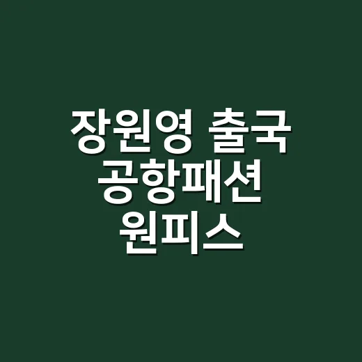 장원영 출국 공항패션 원피스, 네일리스트 눈으로 직접 뜯어본 착장 이야기 - 요약
