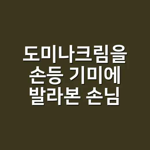 도미나크림을 손등 기미에 발라본 손님들이 진짜 자주 놓친 것 - 요약