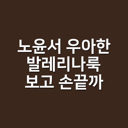 노윤서 우아한 발레리나룩 보고 손끝까지 맞춰본 현장 후기 - 요약