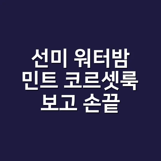 선미 워터밤 민트 코르셋룩 보고 손끝 컬러까지 떠올려본 이야기 - 요약
