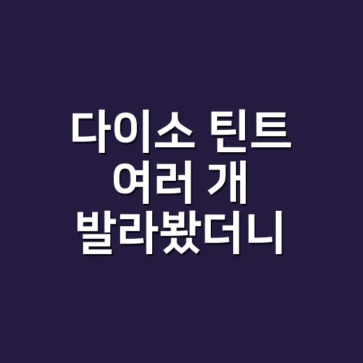 다이소 틴트 여러 개 발라봤더니, 진짜 안 지워지는 립은 따로 있더라 - 요약
