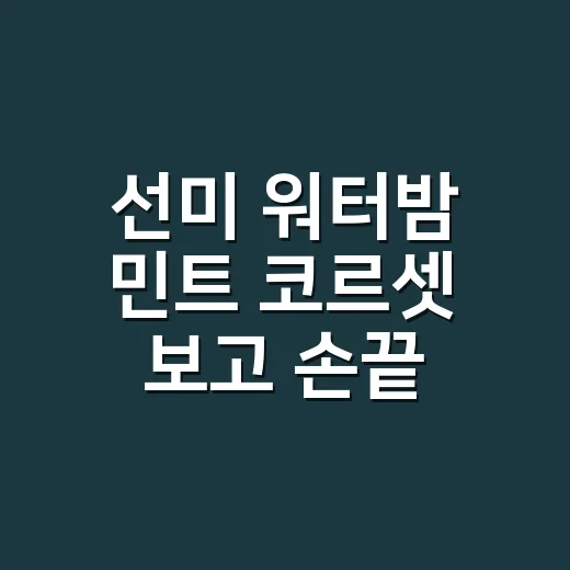 선미 워터밤 민트 코르셋 보고 손끝 컬러까지 바꿔본 이야기 - 요약