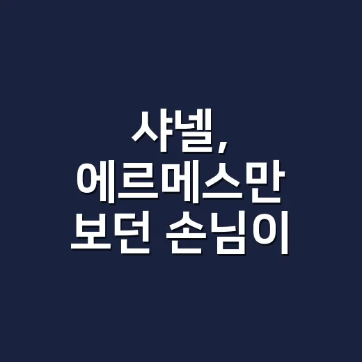 샤넬, 에르메스만 보던 손님이 요즘 더 자주 묻는 가방 이야기 - 요약