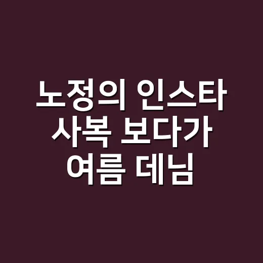 노정의 인스타 사복 보다가 여름 데님 코디까지 손끝 톤 맞춰본 이야기 - 요약
