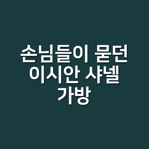 손님들이 묻던 이시안 샤넬 가방, 왜 이렇게 안 보이나 직접 찾아본 이야기 - 요약