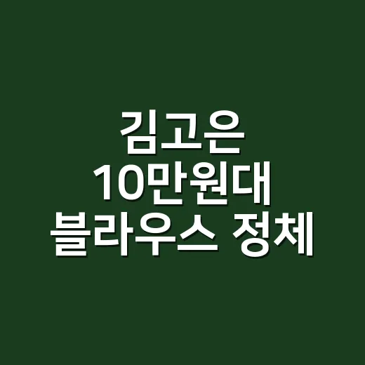 김고은 10만원대 블라우스 정체 찾아봤더니, 손끝까지 차분해 보이는 이유가 있더라 - 요약