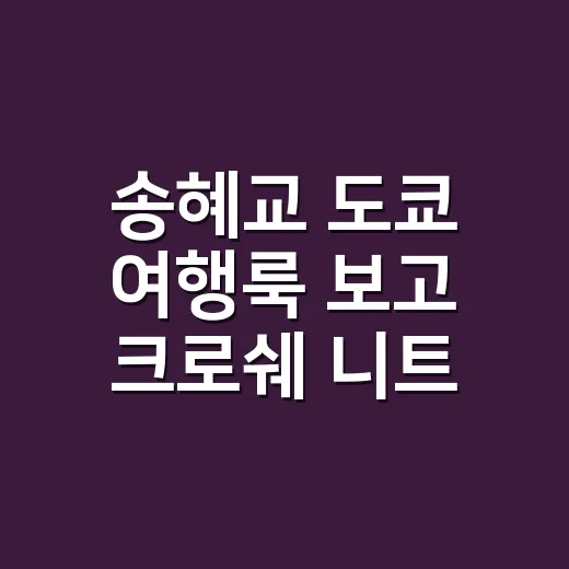 송혜교 도쿄 여행룩 보고 크로쉐 니트에 손끝 컬러까지 맞춰본 이야기 - 요약