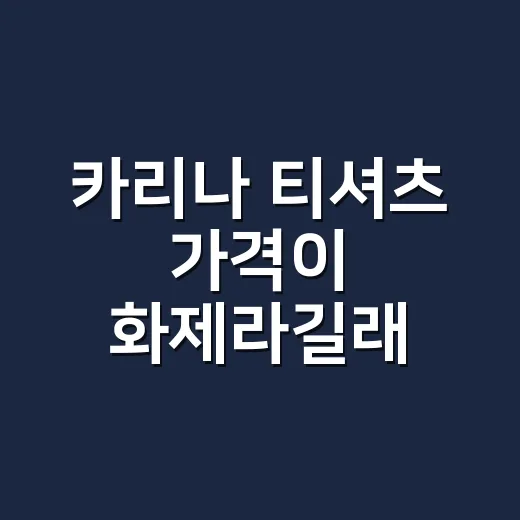 카리나 티셔츠 가격이 화제라길래, 손끝 컬러까지 맞춰본 현장 후기 - 요약