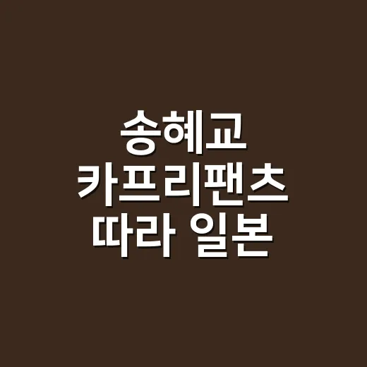 송혜교 카프리팬츠 따라 일본 여행룩 맞춰봤더니, 손끝까지 조용히 예뻤다 - 요약