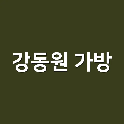 강동원 가방, 송혜교가 들자 품절이라길래 손끝까지 맞춰본 이야기 - 요약
