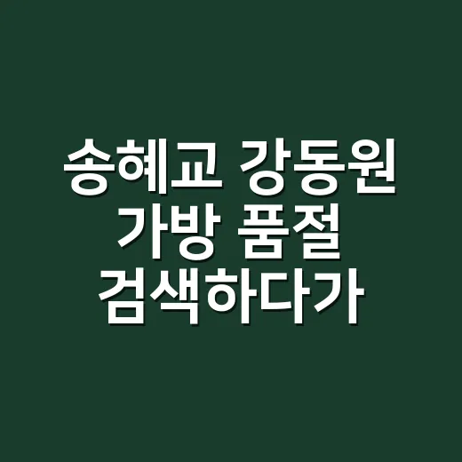 송혜교 강동원 가방 품절 검색하다가 손끝 컬러까지 바꿔본 이야기 - 요약