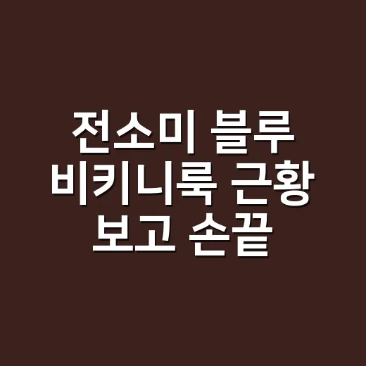 전소미 블루 비키니…