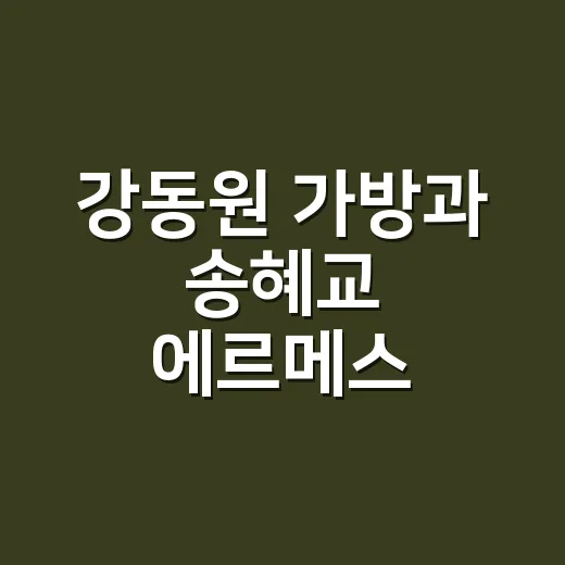 강동원 가방과 송혜교 에르메스 스카프를 보고 손끝 컬러까지 바꿔본 이야기 - 요약
