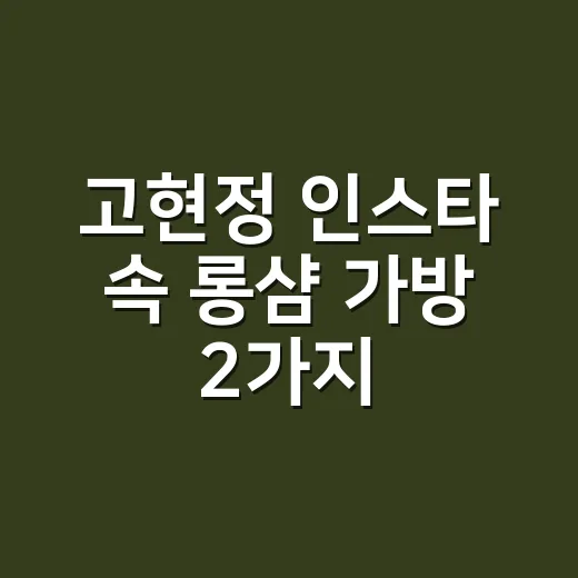 고현정 인스타 속 롱샴 가방 2가지, 손끝 컬러까지 같이 떠올려봤더니 - 요약