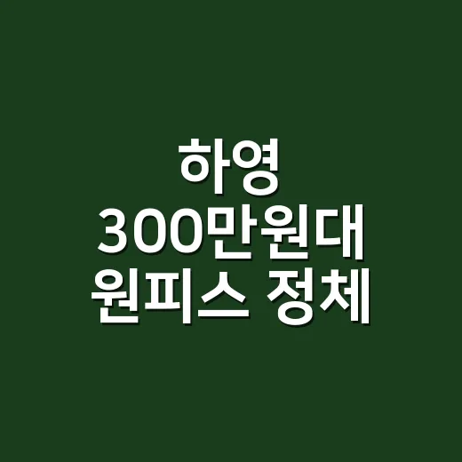 하영 300만원대 원피스 정체, 손님이 사진 들고 와서 같이 맞춰본 룩 - 요약