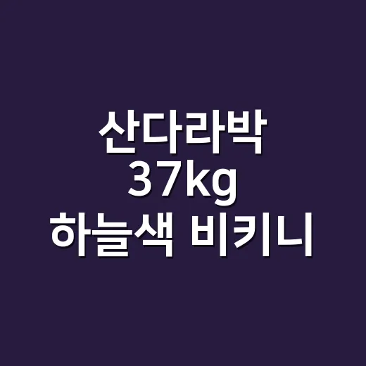 산다라박 37kg 하늘색 비키니 찾아보다 네일까지 맞춰본 현장 이야기 - 요약