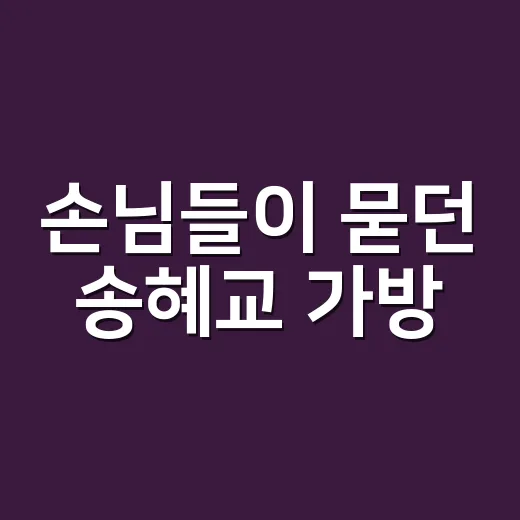 손님들이 묻던 송혜교 가방, 10만원 미만 정체를 찾아봤더니 - 요약