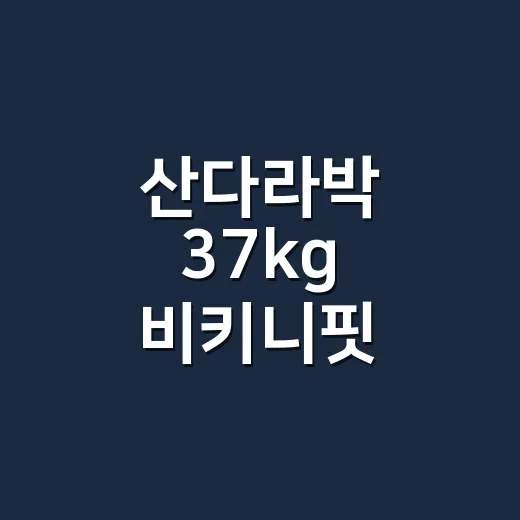 산다라박 37kg 비키니핏 헤어스타일, 손끝까지 같이 봤더니 - 요약