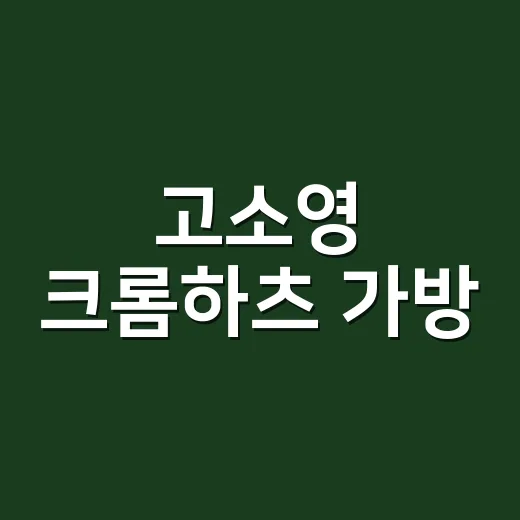 고소영 크롬하츠 가방, 손끝까지 맞춰 보니 가격대가 더 선명해졌다 - 요약